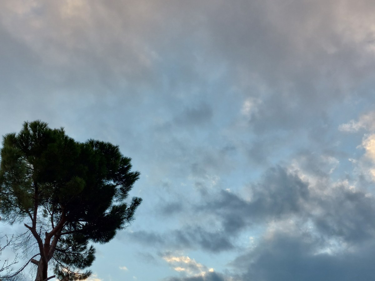 Being alone: The greatest fear of them all. An ocean. A butterfly. Death under the&nbsp;tree.