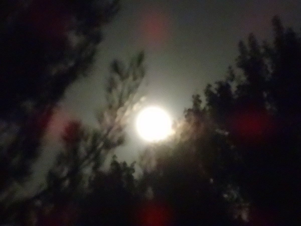 Bedtime issues. Only because of daytime&nbsp;issues…